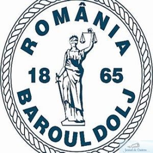 Baroul Dolj : Conferinta de drept penal al afacerilor la Craiova