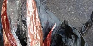 Video : Au încercat să treacă vama de la Calafat ascunși în saci de plastic