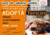 Târg de adopții, vineri, la Adăpostul canin Craiova