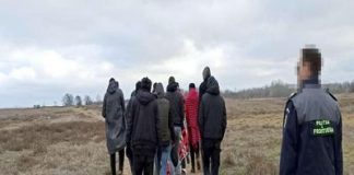 Grup infracţional de trafic de migranţi destructurat în judeţul Dolj