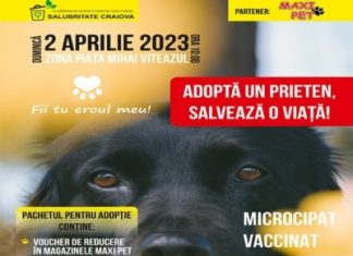Salubritate Craiova organizează duminica un nou târg de adopții canine în centrul Craiovei