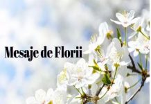 Mesaje de Florii 2024. FELICITĂRI și URĂRI în Duminica Floriilor pentru apropiați, rude și cunoștințe