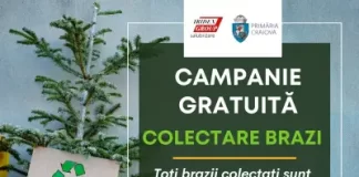 Din 5 ianuarie incepe Campania de colectare gratuită a brazilor în Craiova. Toți brazii colectați sunt reciclați
