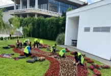 R.A.A.D.P.F.L. Craiova angajeaza 6 muncitori necalificati din cadrul Secției Zone Verzi