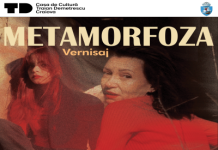 Casa de Cultură ”Traian Demetrescu” organizează expoziția ”METAMORFOZA”
